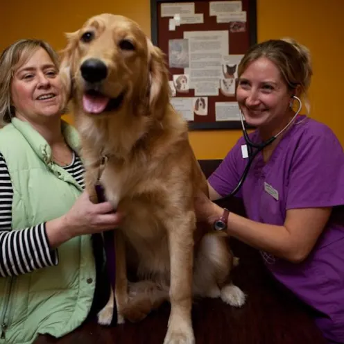 Golden retriever sitting between two women